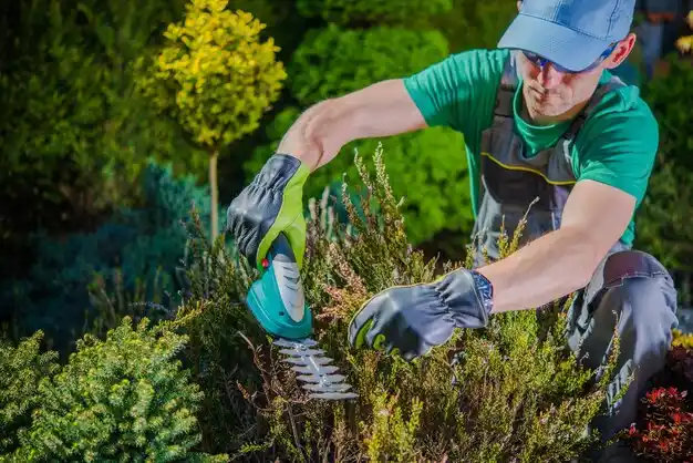 landscaping services Titusville